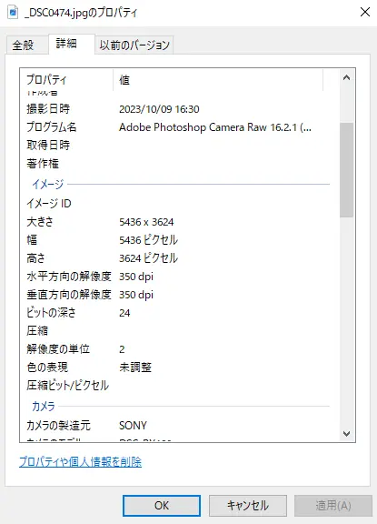 WindowsでJPEGファイルのプロパティを表示した例