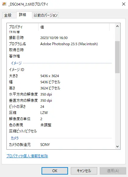 WindowsでTIFFファイルのプロパティを表示した例