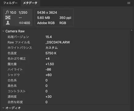 BridgeでJPEGファイルのメタデータを表示した例3