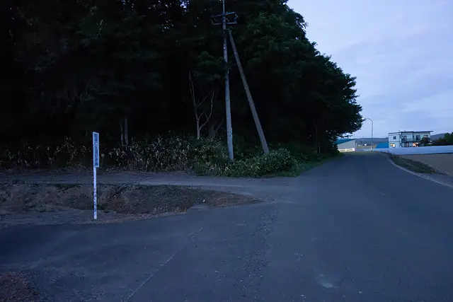 記念碑前の道路