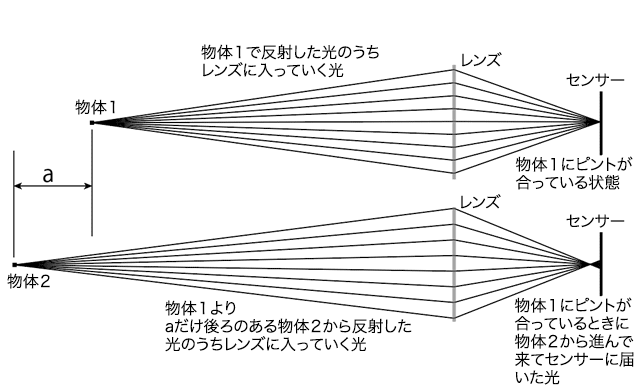 遠くの被写体と背景のボケ具合の雰囲気