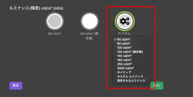 輝度の選択肢