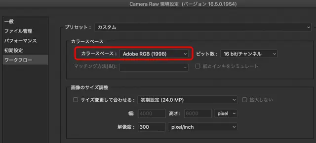 Camera Raw 環境設定のカラースペースの設定欄