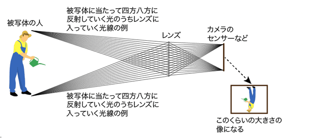 イメージ画像