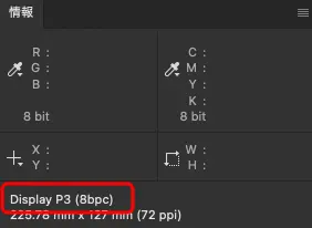 情報パネル　Display P3が埋め込まれている例　iPhoneで撮影した画像データなどはこのプロファイルが埋め込まれている場合が多い