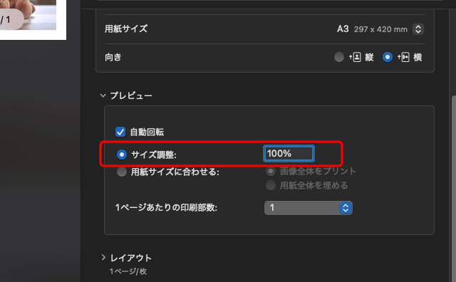 「プレビュー」の印刷設定の画面